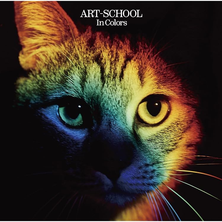 Amazon.co.jp: luminous: Music